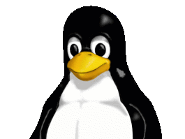 vm linux